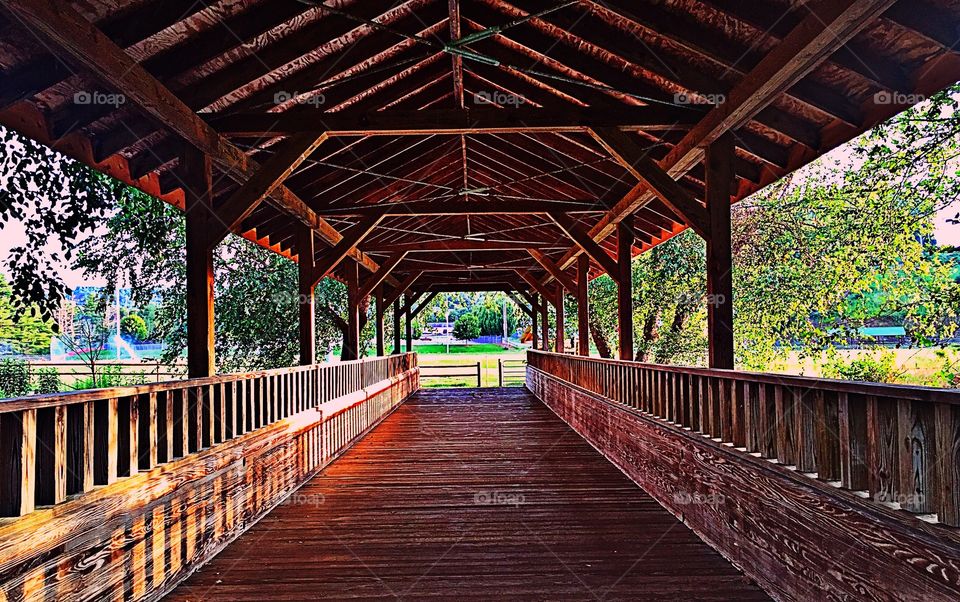 Empty boardwalk in garden