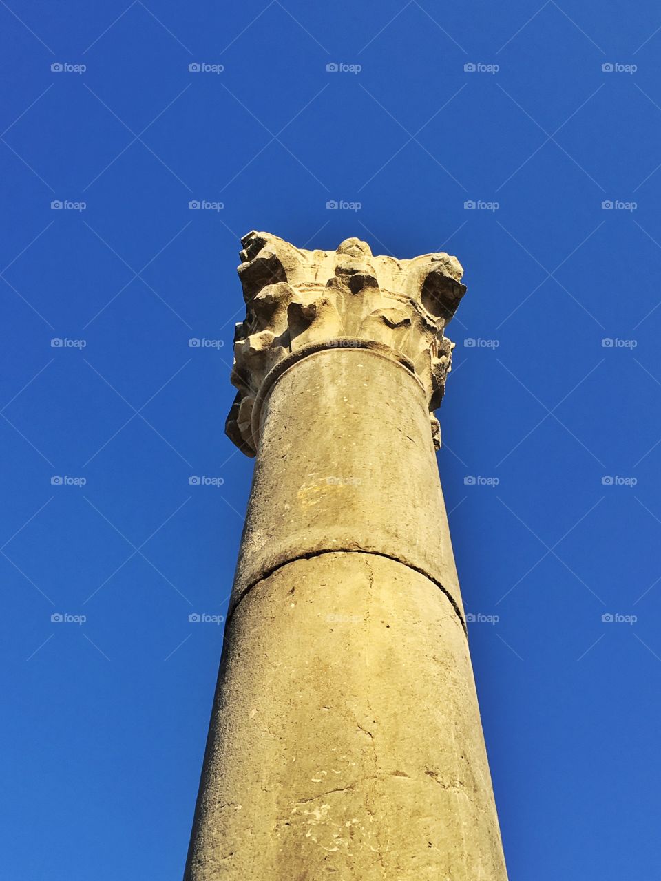 Ancient ruins of Volubilis morocco