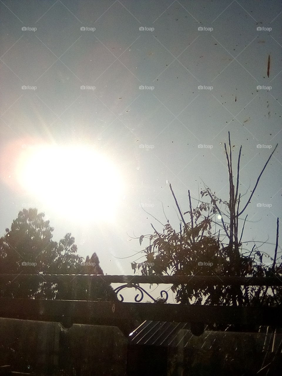 sun  diong wonders
