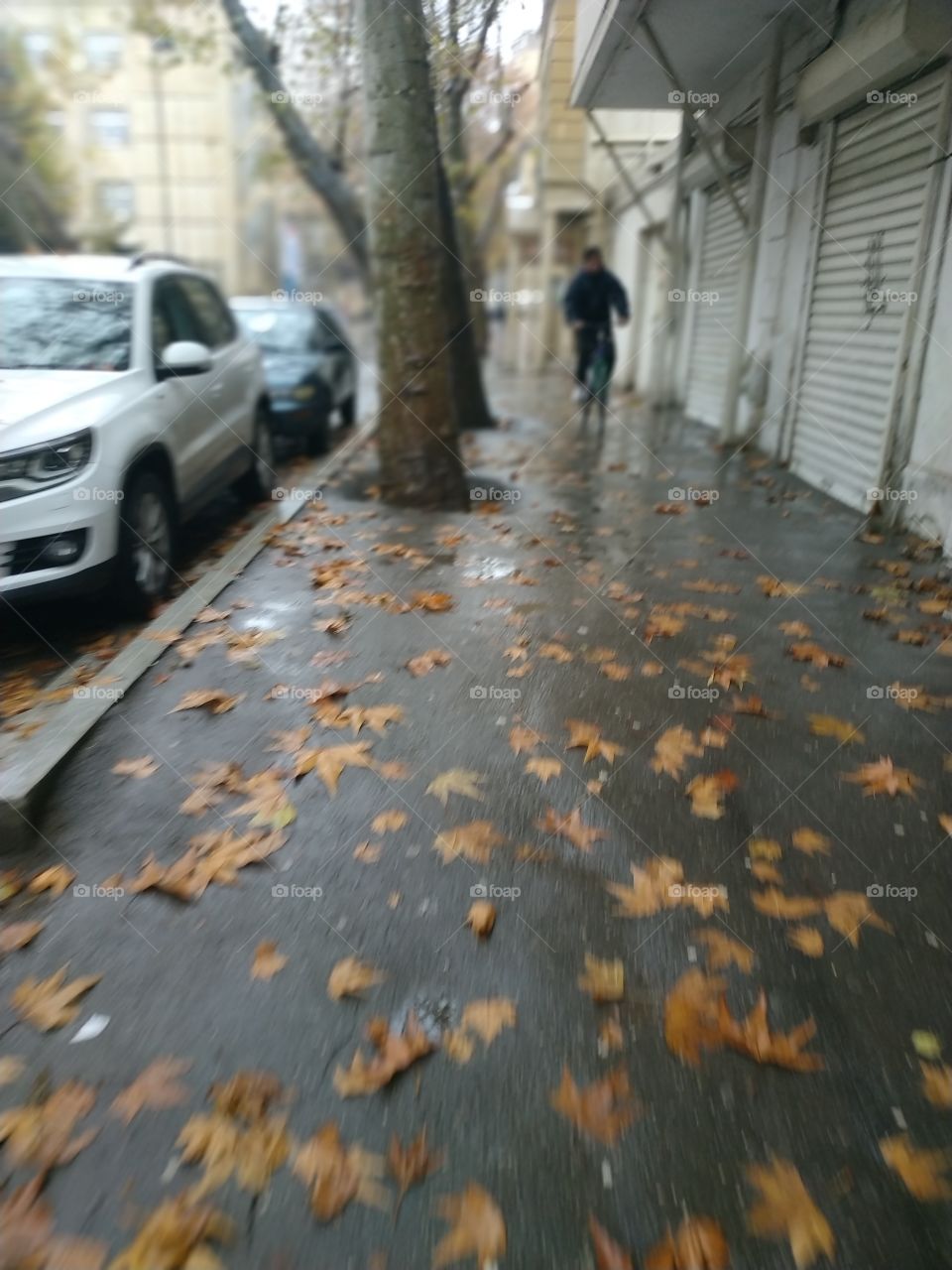 biker, autumn: leaf fall