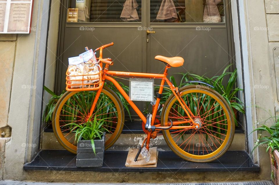 Bicycle entry door