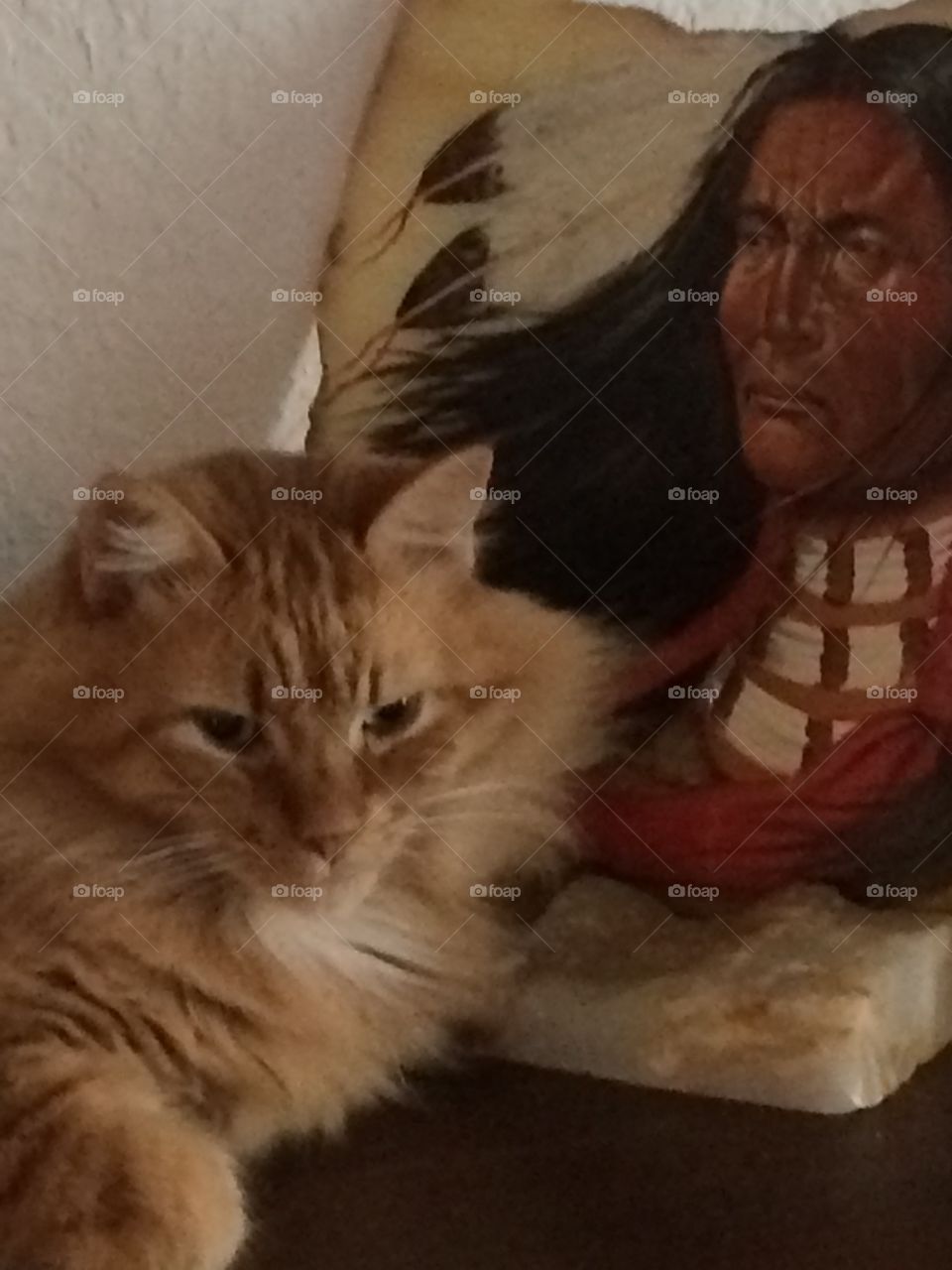 Cat with picture of Indian 