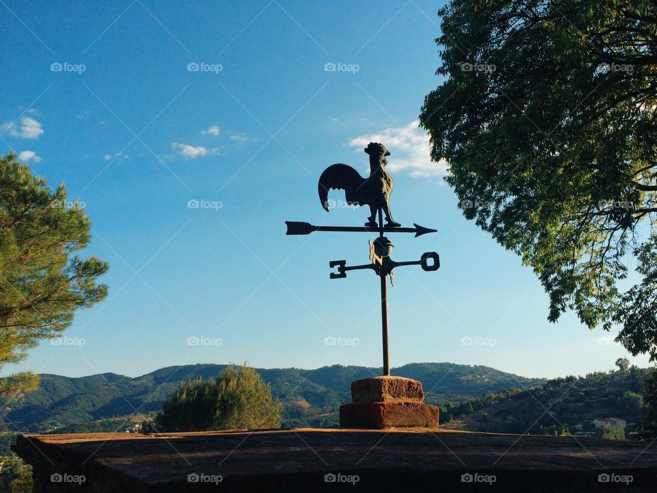 Weathervane in sky overlooking beautiful French countryside . Trees surrounding a weathervane near a French villa