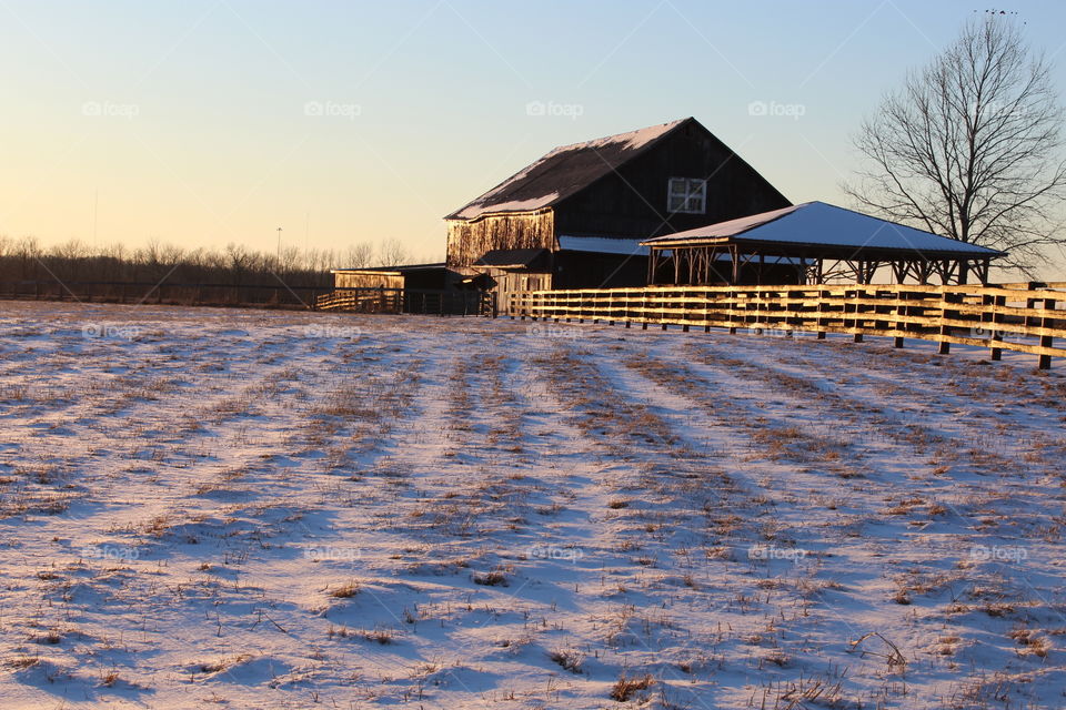Snowy barn 