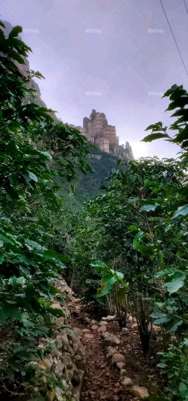 A very beautiful picture, and there is no better picture than it. There is no better picture of green herbs and colorful, red and white roses than it. Glory be to God, the natural and picturesque view, and there is no more