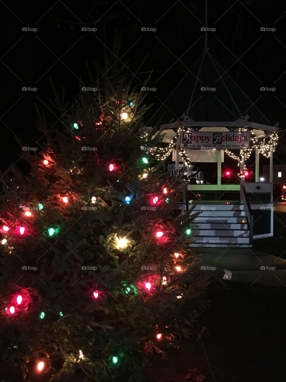 Christmas tree and gazebo
