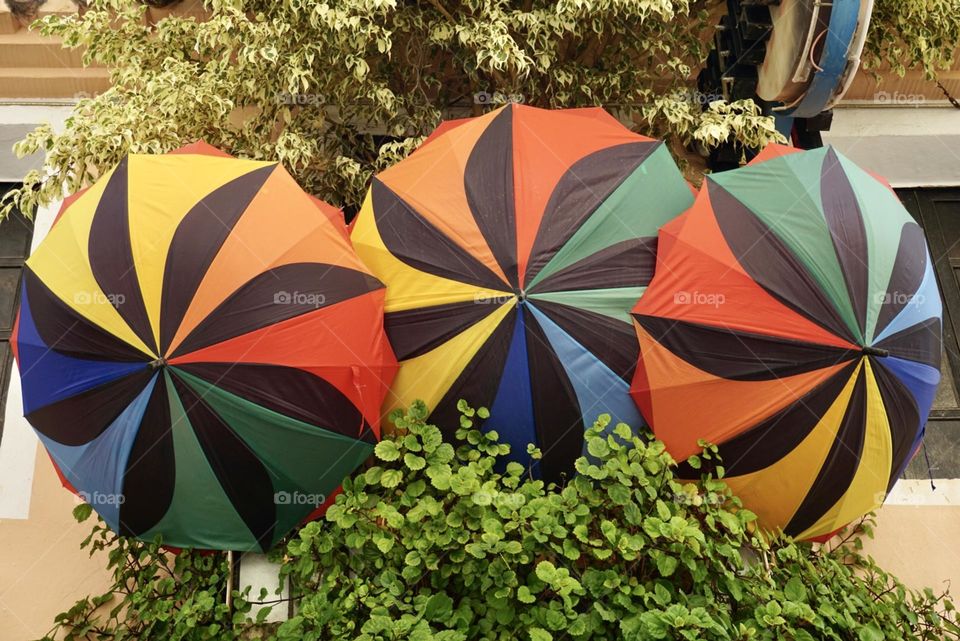 Umbrellas#colors