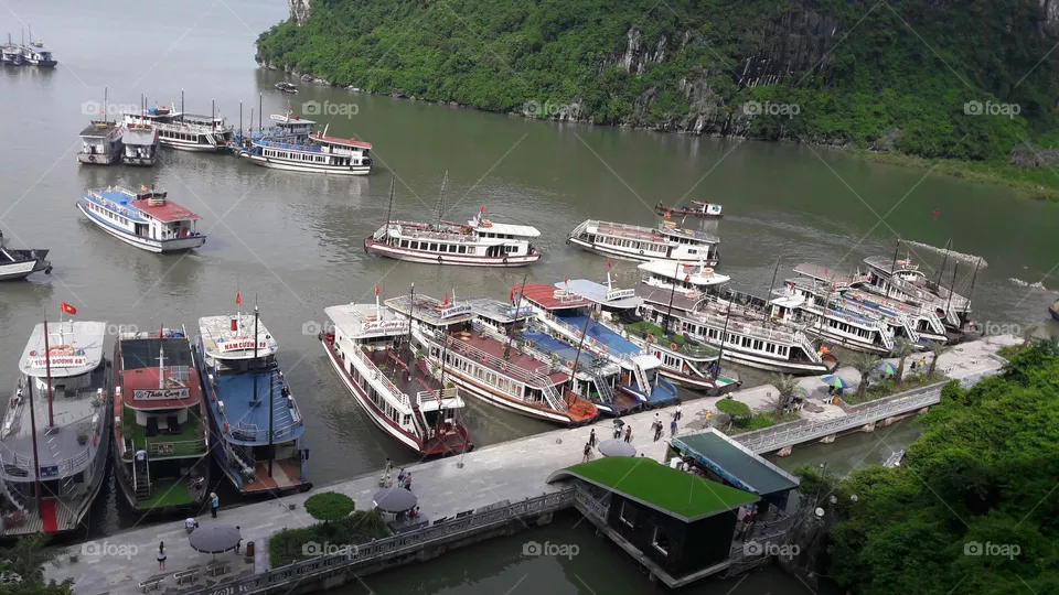 harbor and cave