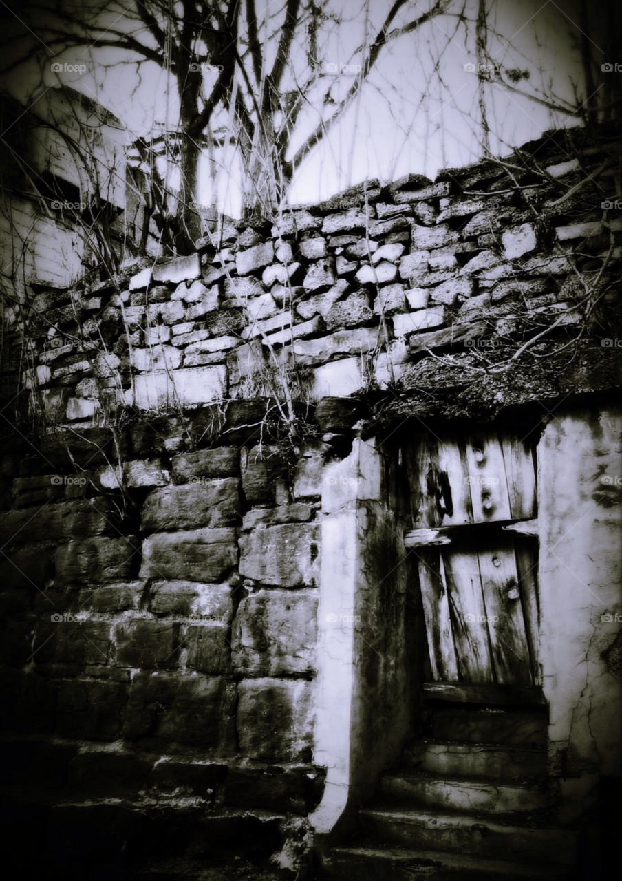 wall trees stones steps by stevehardley7