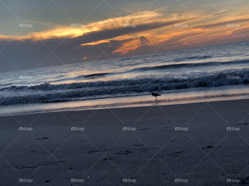 Beautiful morning sunrise on a beautiful island in northern Florida called Amelia Island