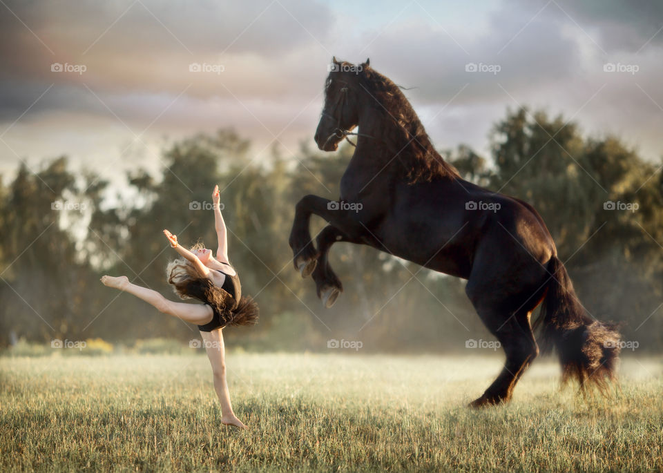 Little girl with black fresian stallion in summer evening 