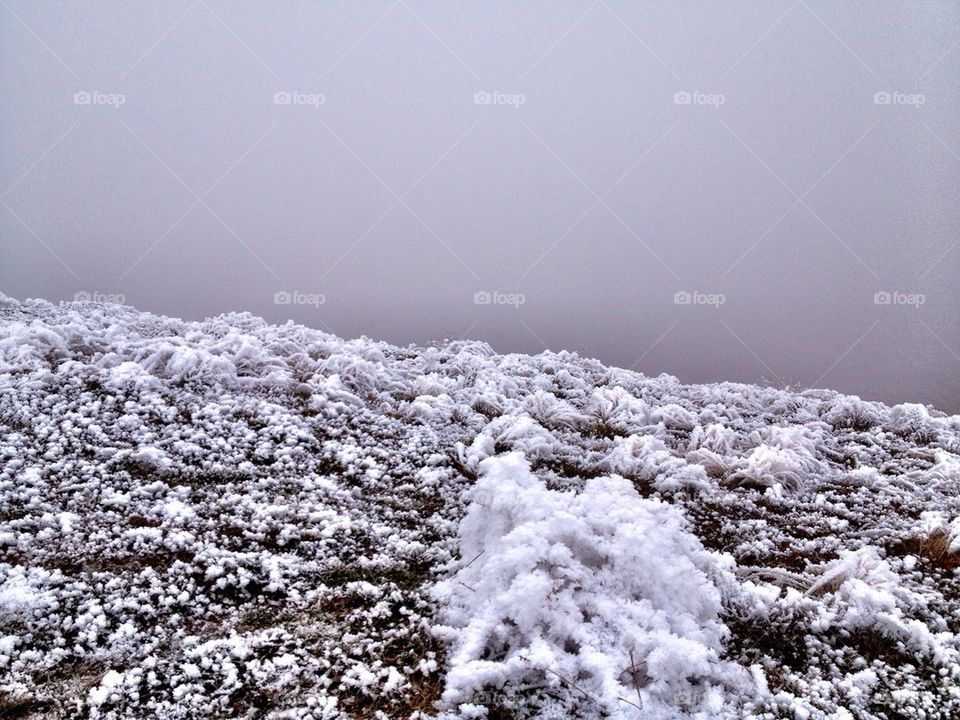 Inversion Fog - Idaho