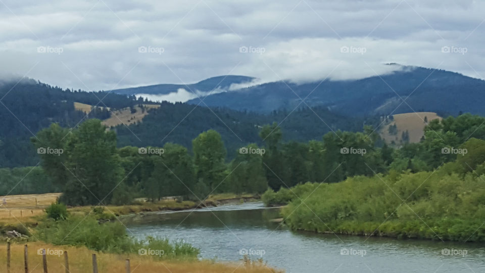 Montana Landscape