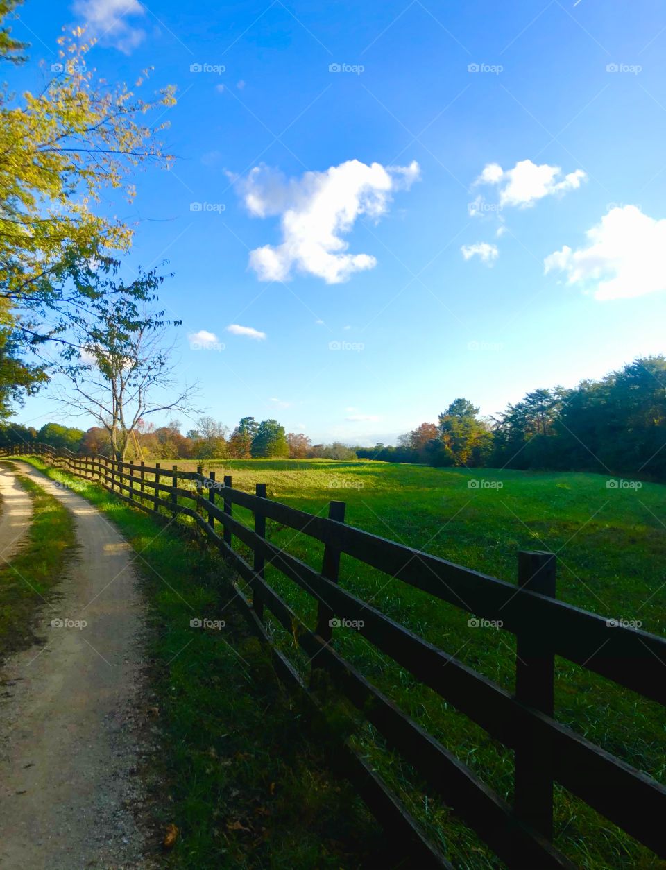 Beautiful view from cabin