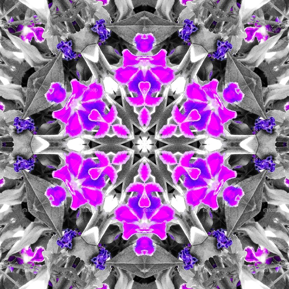 real flowers used in pattern