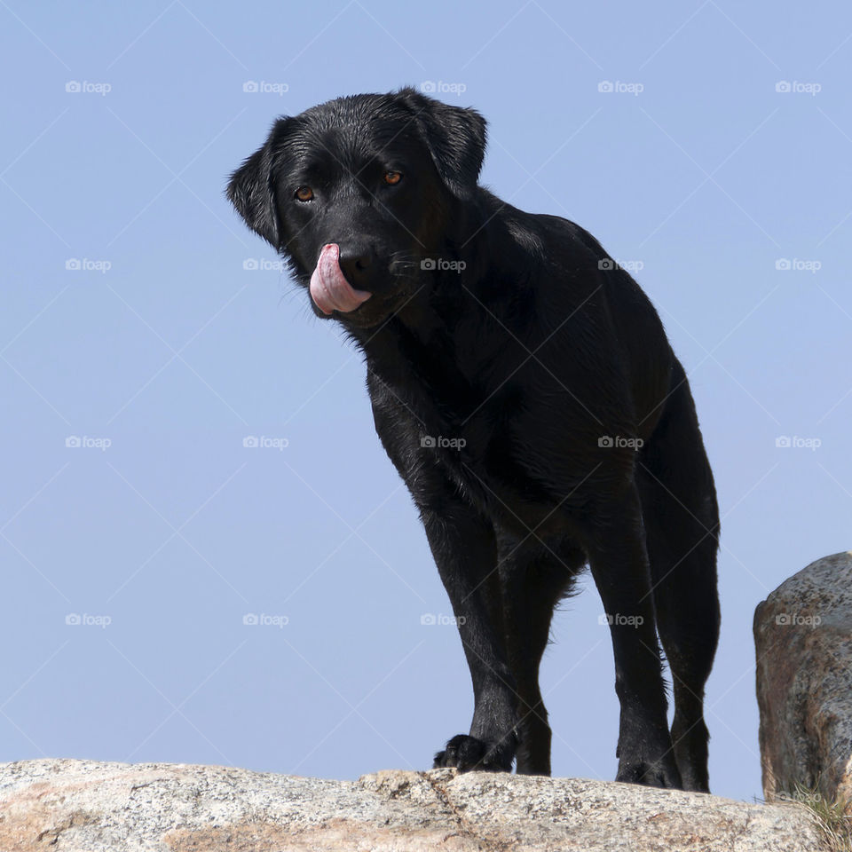 What are you guys eating?