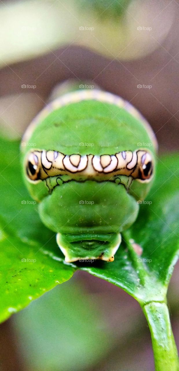 Upload your Photo of the Week