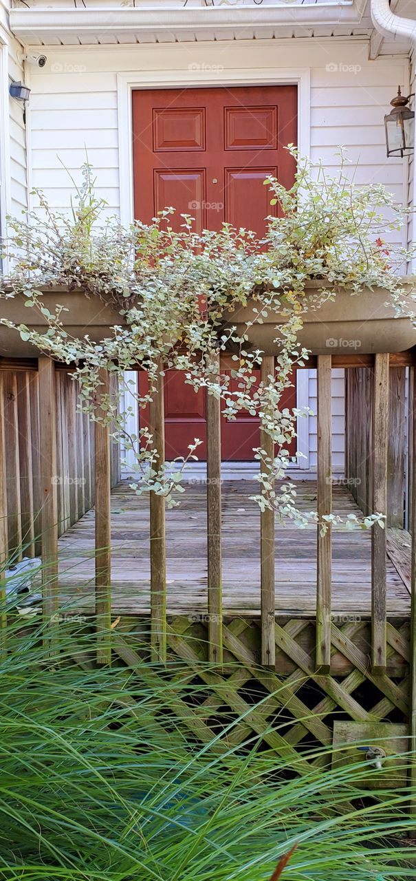 Entrance to a family home. There is decking, railings & entrance light seen on siding. Planters hold cascading greenery growing in summertime.