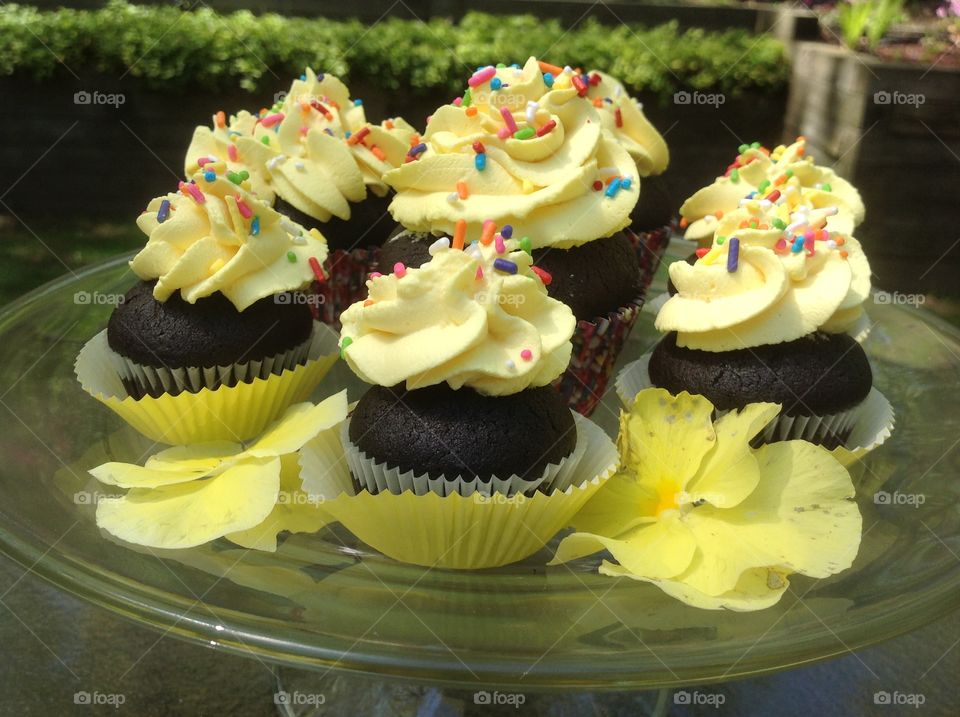 Chocolate cupcakes with rainbow colored sprinkles.