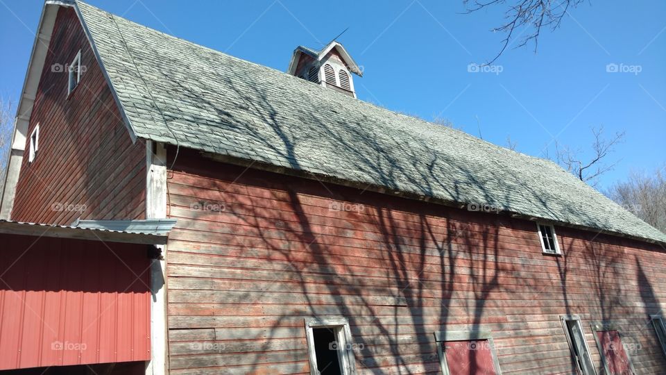 old abandoned Farm in fall with silhouette of tree