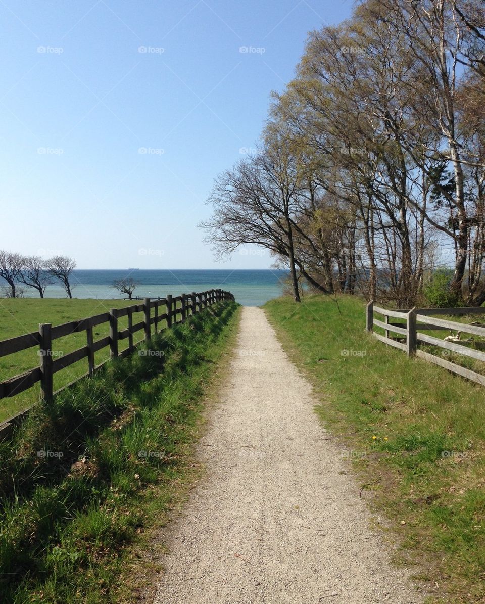 Path to the ocean.