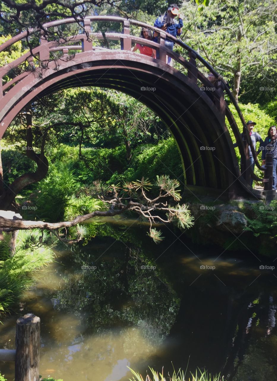 Bridge at tea garden in San Francisco
