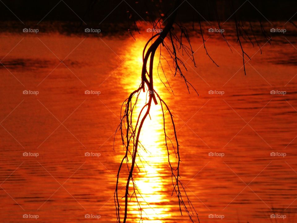 Beautiful sunset on the lake in Indiana 