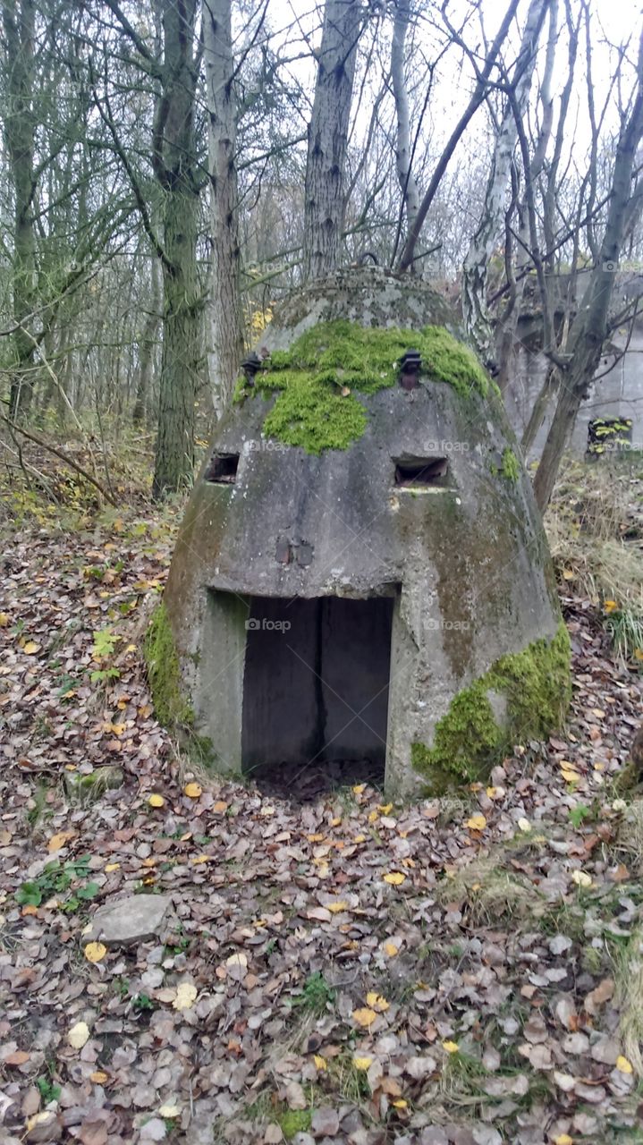 Happy bunker