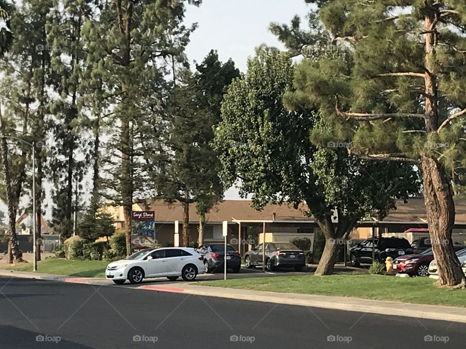 An apartment complex with a variety of trees.