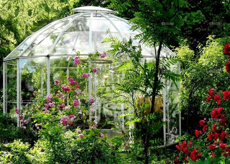 Greenhouse and roses in the park