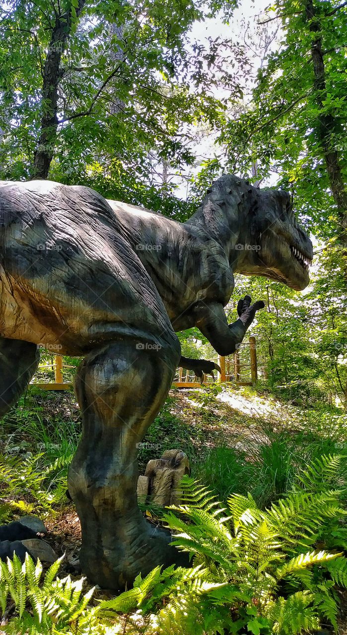 Stone Mountain Georgia