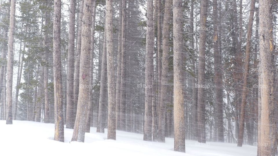 Heavy snowstorm somewhere in a Colorado peak mountain