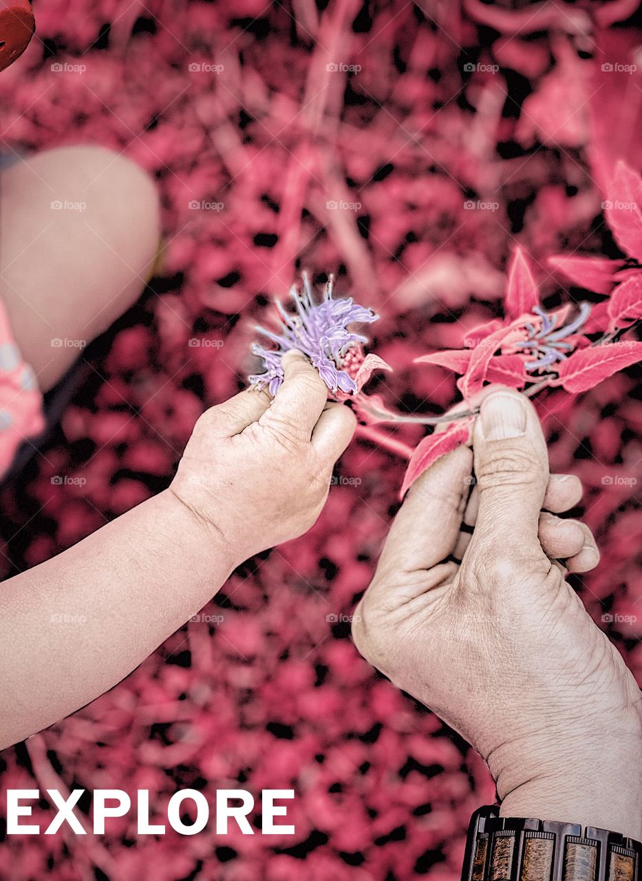 Mother handing child flower, pink beauty, pink in nature, mother loving child, exploring with a child, babies in the woods, pink nature, mother and child, lifestyle photo