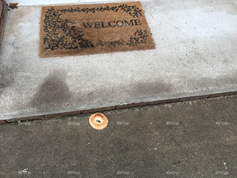 Monday
My son was late for school. I handed him a bagel as he dashed to catch the bus. The bagel tumbled out of his hand as he rushed, landing cream cheese side down. And it was raining. Needless to say my heart broke for him. The contrast between a sad, downturned bagel and our welcome mat struck me.