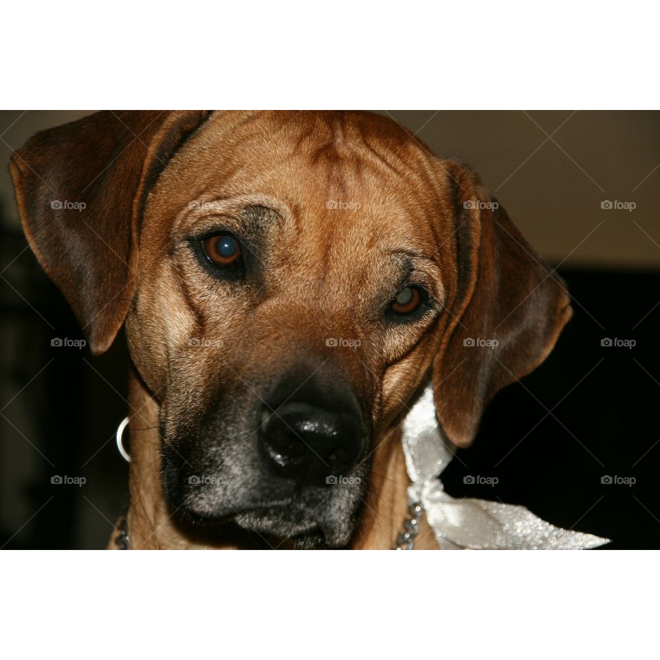 Requests get answered like this