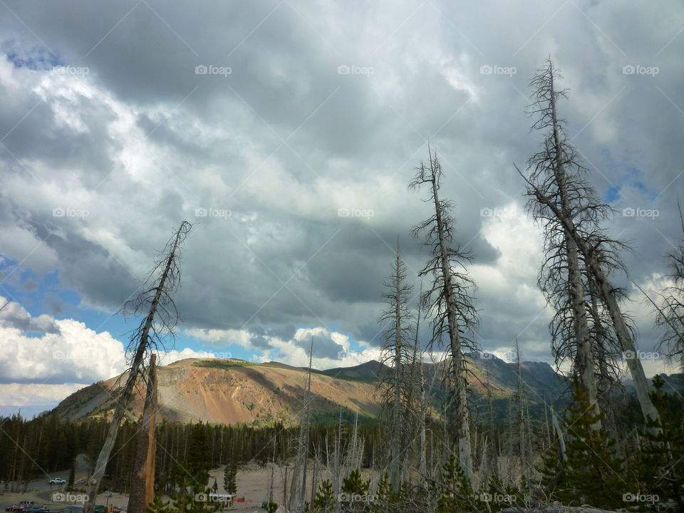 clouds trees mountains dead by kenglund