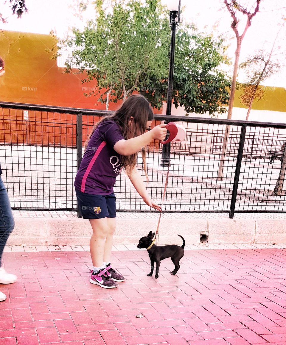 Un paseo con el perro