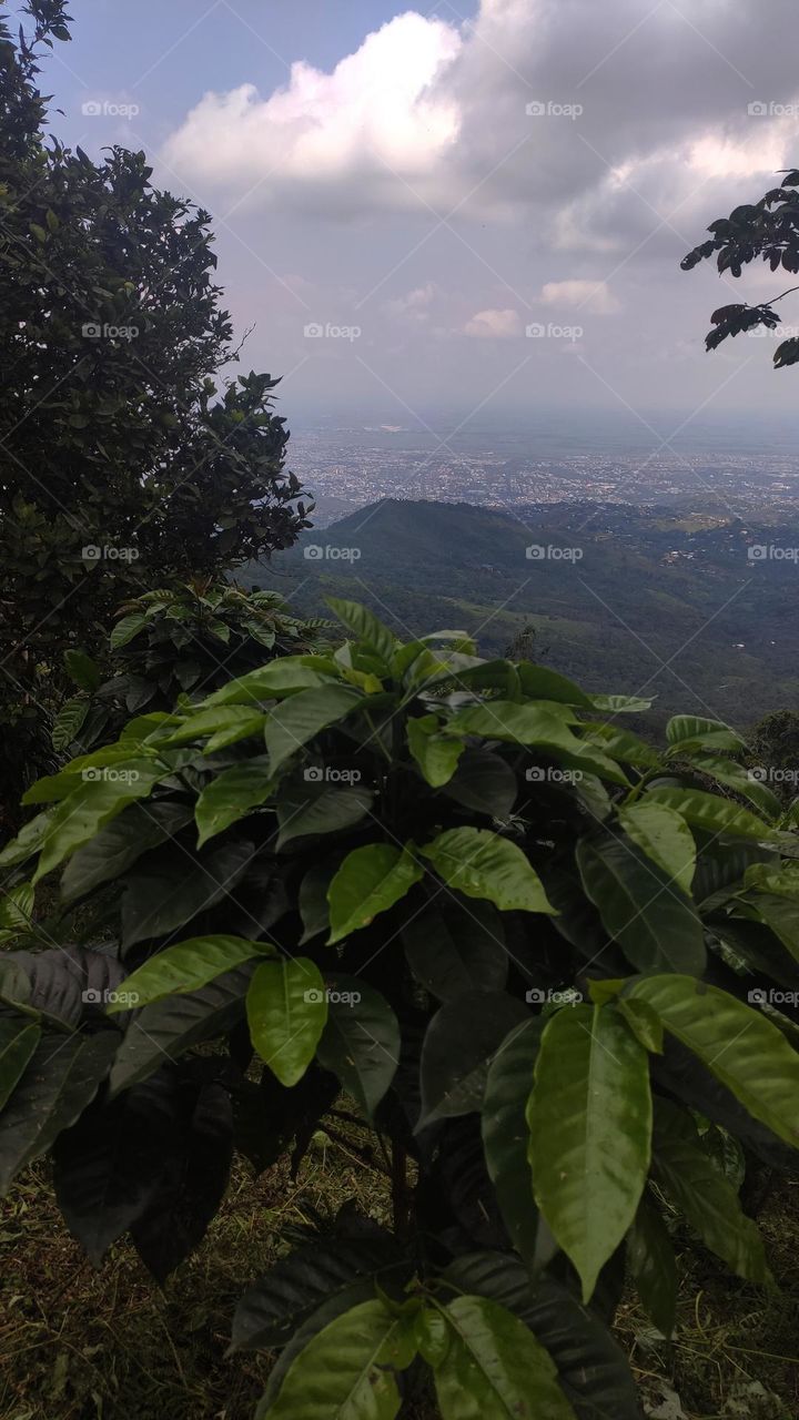 pichinde, valle del cauca