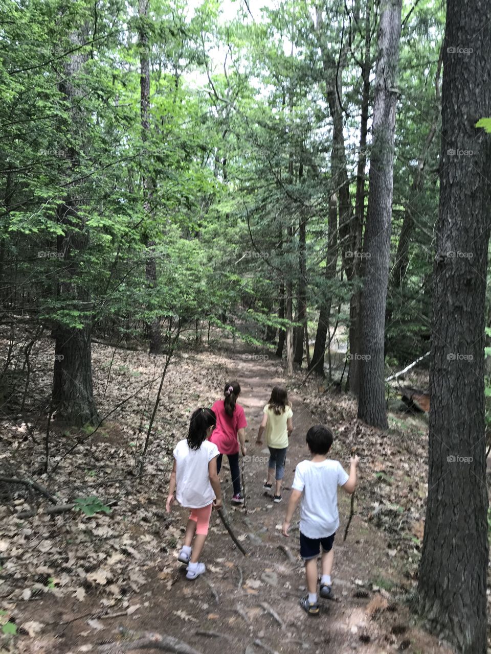 Group hiking