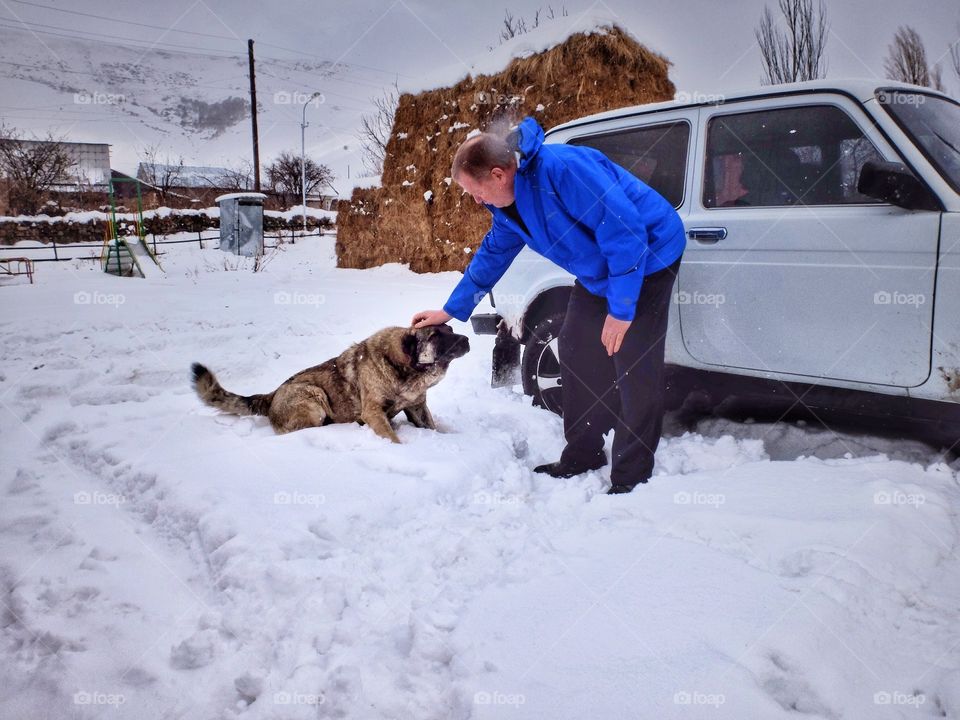 That dog is guarding sheep. It looks pretty serious. My colleague is petting it.