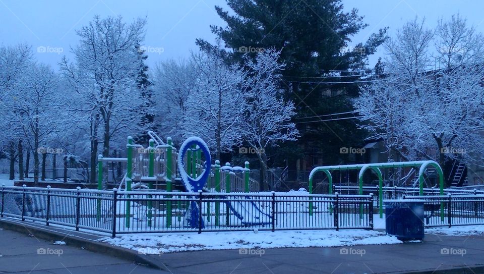 Winter, Snow, Cold, Tree, Park