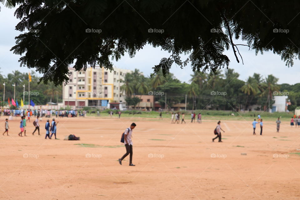 Recreation, People, Leisure, Tree, Beach