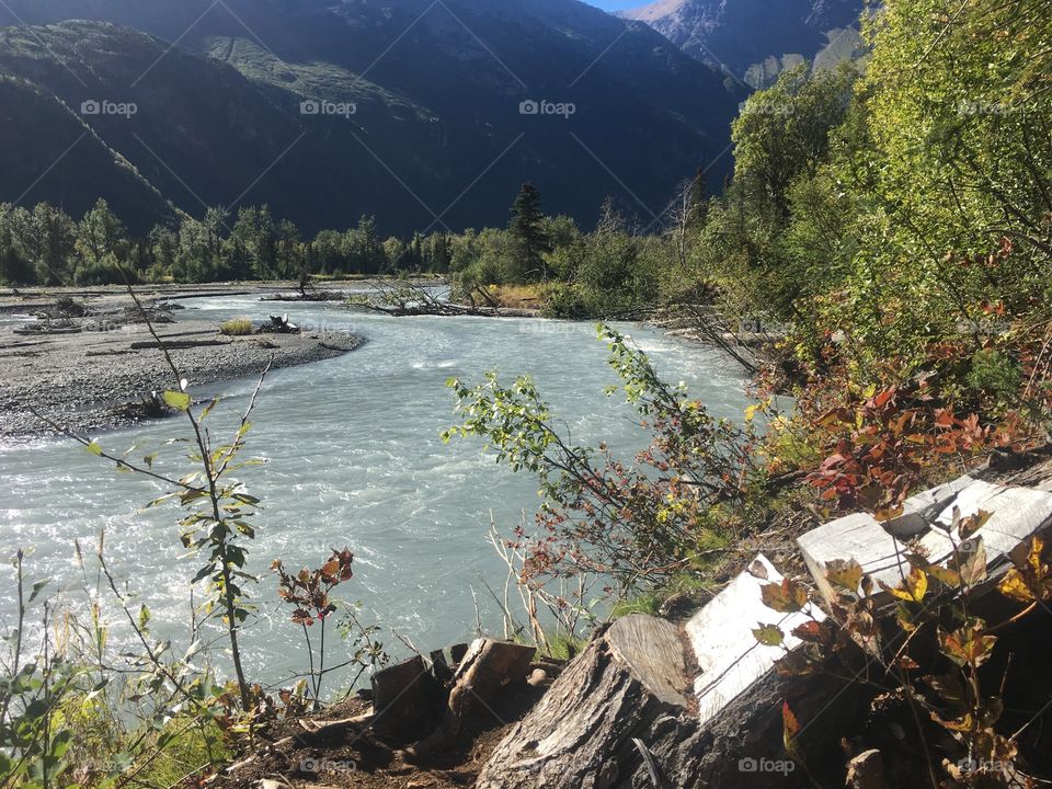 Carved out chair along the Crow Pass trail near the river