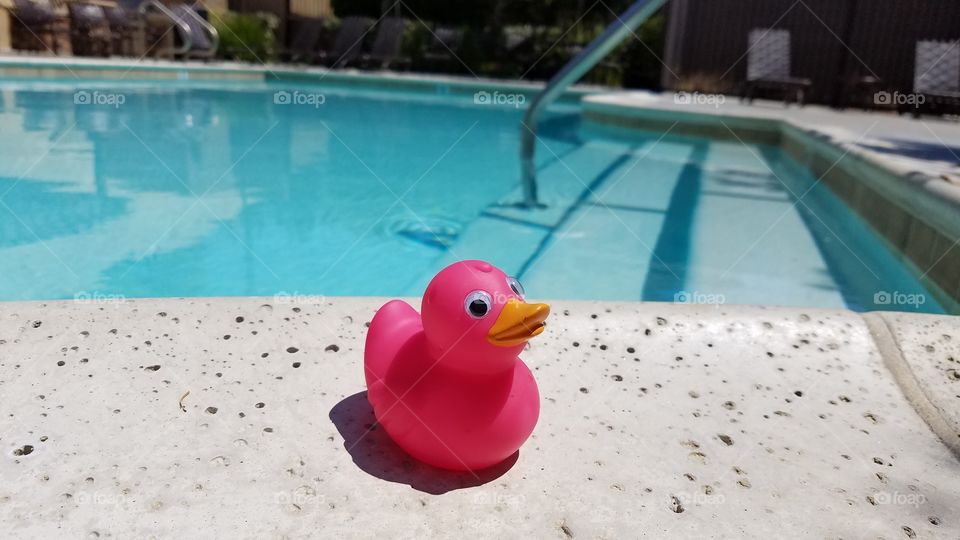 Rubber pink duck at the pool