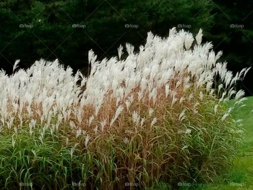 Driving the Back Roads and enjoying everything around us