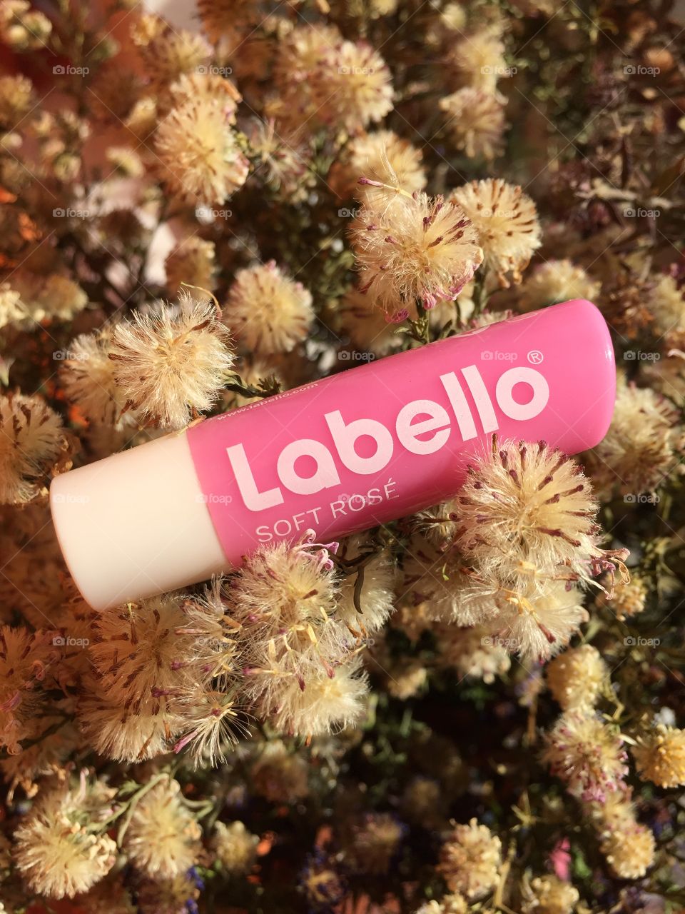 Lipstick Labello