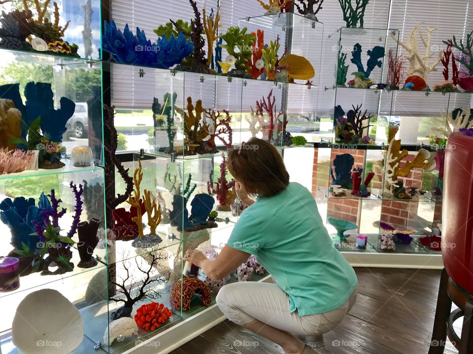 Owner of tropical fish store selecting a piece of coral from large colorful window display for customer 