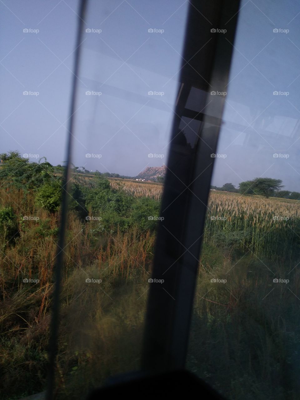 Scenic view of nature through window