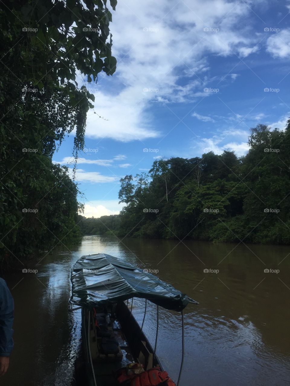 Postanza River . Amazon rainforest Ecuador