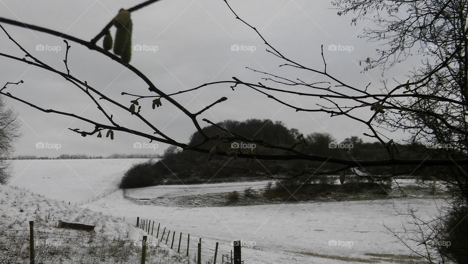 Winter Snow